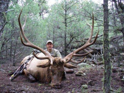 wta_1330_W9G7T5_elk2