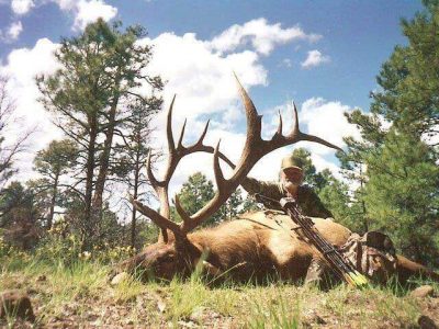 wta_1330__featured_ZXR42W_bow_elk5_lrg
