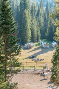 wta_1346_YNI50N_Camp2