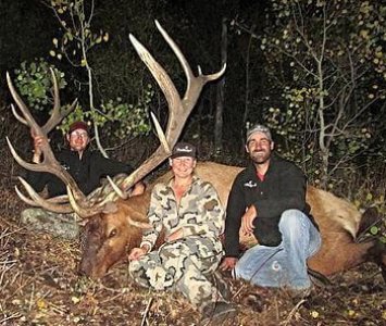 wta_1349__featured_7MVTDA_DeadlineElk1