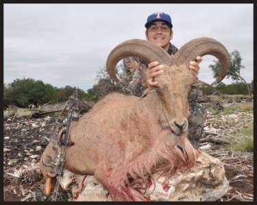 wta_1360_3H9G66_aoudad+hagen