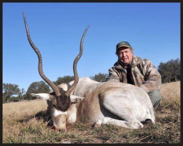 wta_1360_4E8ETG_addax2