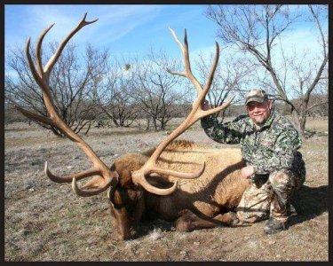 wta_1360_8QKIUT_red+stag3