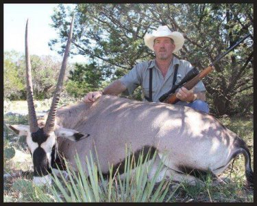 wta_1360_IG3QWN_Gemsbok