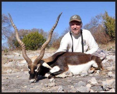 wta_1360_NA8606_blackbuck7