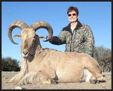 wta_1360_WKIKD1_aoudad+joan