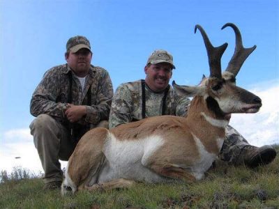 wta_1365_HLKR5X_BHAntelope2