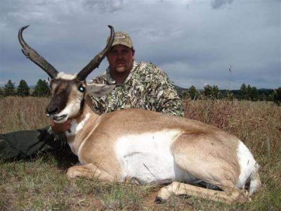 wta_1365__featured_E36DVI_BHAntelope3