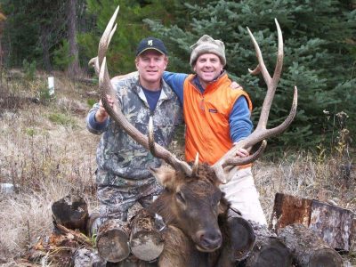 wta_1378_HOXF8C_Joeypillmeier2006bullelk035