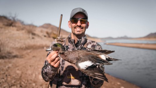 wta_1391_DSC07670 Wigeon Drake (1)