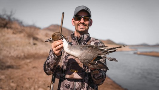 wta_1391_DSC07682 Pintail Drake