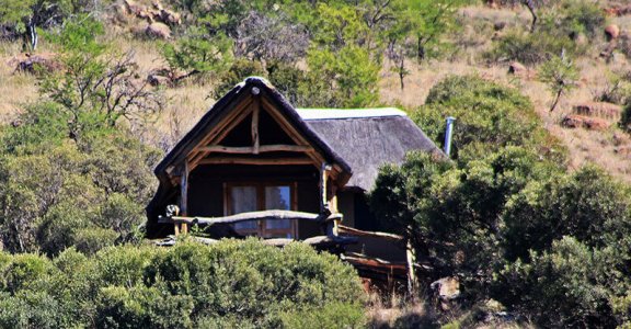 wta_1396_BR82LE_campbav(14)-crop