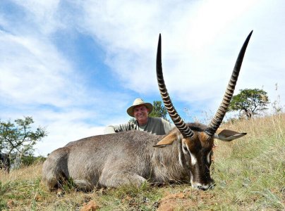 wta_1396_DCTPHL_donwaterswaterbuck