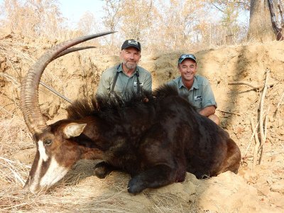wta_1398_5HE1KW_sable2