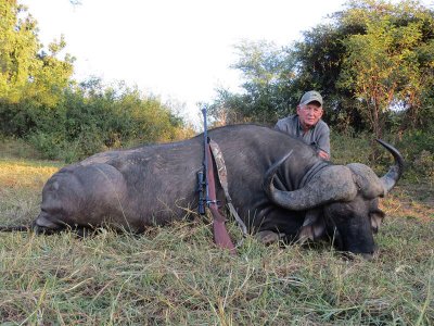 wta_1399__featured_ORB3CD_buffbull2