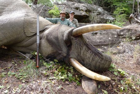 wta_1400_1628VM_elephant2