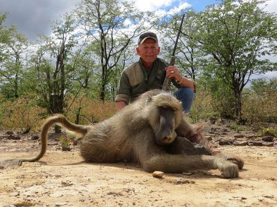 wta_1400_365MRD_baboon