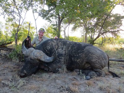 wta_1400_6H3FQX_buffbull