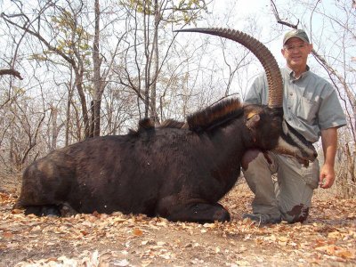 wta_1400_C2Q0H5_sable