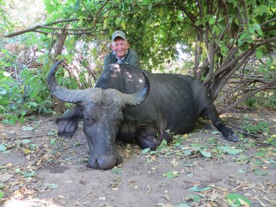 wta_1400_DVF8CY_buffcow