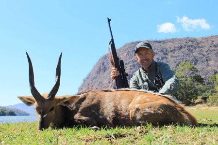 wta_1400_MO89W8_bushbuck