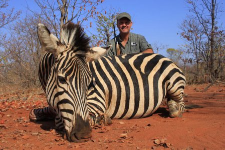 wta_1400_WSC55Q_zebra