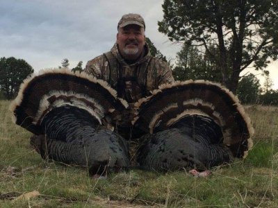 wta_1416__featured_M98YCC_Myers3