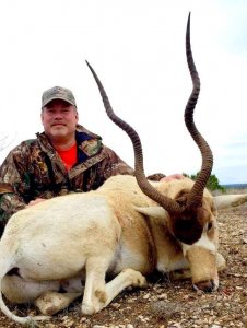 wta_1436__featured_SLBO01_hwo_addax(2)
