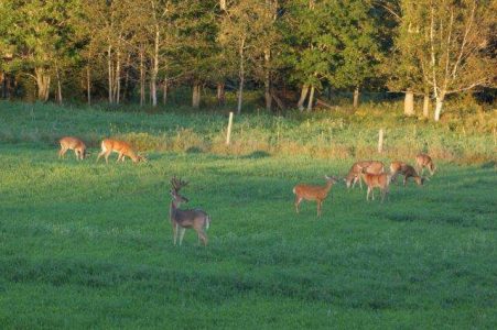 wta_1443_K8KM7F_MIW-Website-3