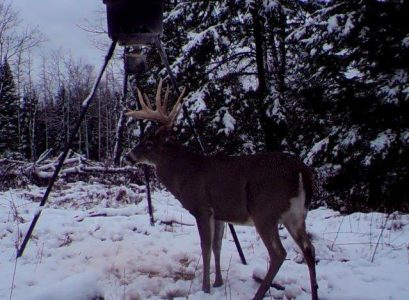 wta_1443_XBL38K_MIW-Website-14