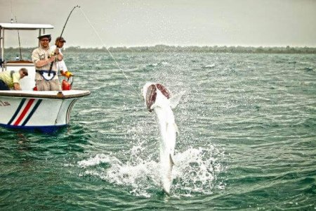 wta_1450__featured_GQUUYE_image(6)