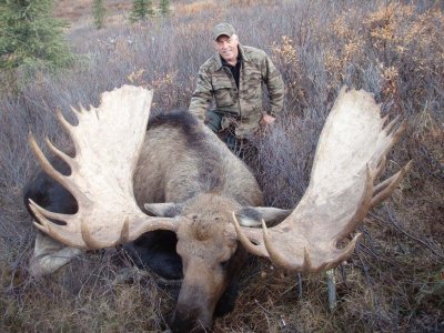 wta_1452_0GTO7H_moose1