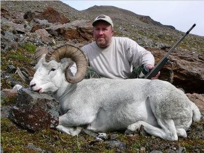 wta_1452_4X6CAW_079_sheep-135
