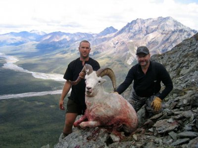 wta_1452_4YHGAQ_079_sheep-68
