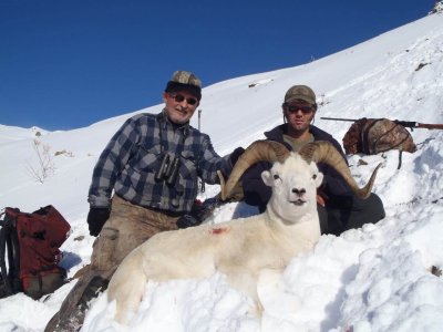 wta_1452_6Q6H70_079_sheep-110