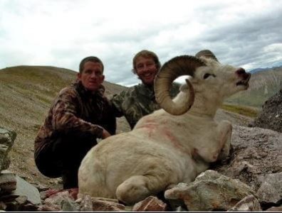 wta_1452_EA9FDZ_079_sheep-136