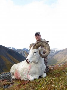 wta_1452_NPG90B_079_sheep-11