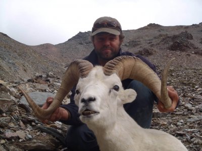wta_1452_O2UGUA_079_sheep-108
