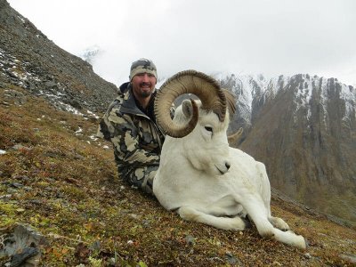 wta_1452_P9QCBP_079_sheep-12