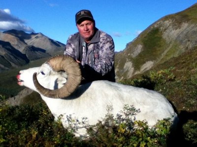 wta_1452__featured_LH07BM_079_sheep-40