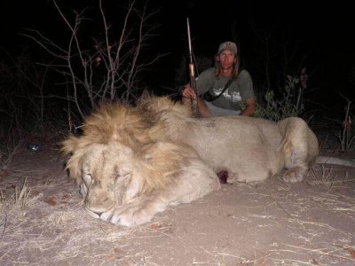 wta_1463_ETKG9P_GuavJohnson(Zimbabwe)Lion