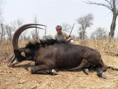 wta_1463_G7KN5I_GuavJohnson(Zimbabwe)Sable