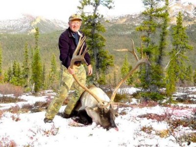 wta_1476_BVBIML_caribou3
