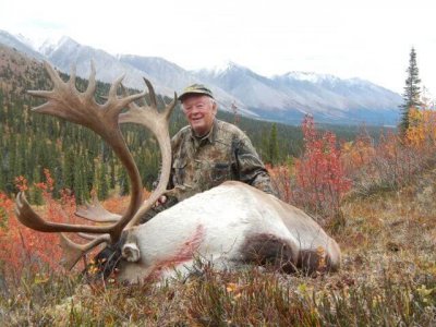 wta_1476_E8W0I0_caribou2