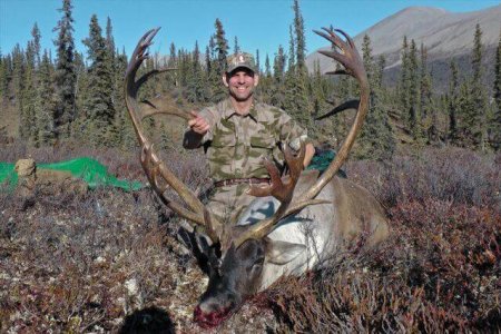 wta_1476_KANCXV_caribou4