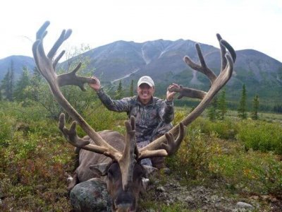 wta_1476_NDGGDQ_caribou5