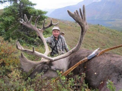 wta_1476_TYH5BC_caribou1