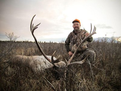 wta_147_CFILHU_012_Caribou(5)