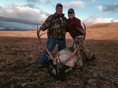 wta_147_N7IYA2_012_Caribou(1)