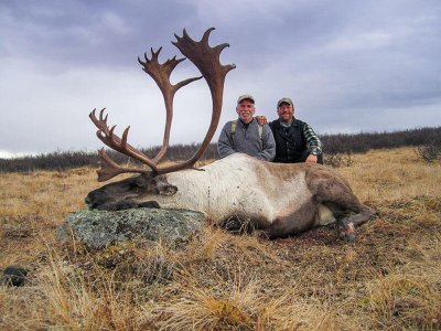 wta_147_S3T7FQ_012_Caribou(2)